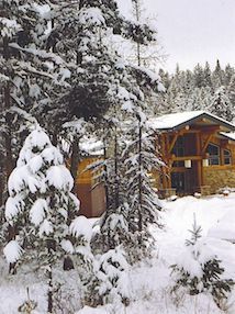 Cabin in the woods during winter