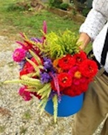 Person holding bouquet of flowers