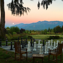 Giant chess set on a lawn