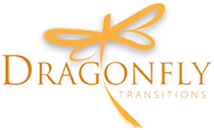 Dragonfly transitions logo