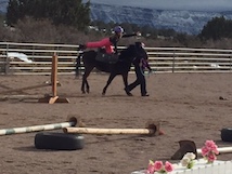 A teen on horseback