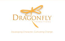 Dragonfly transitions logo