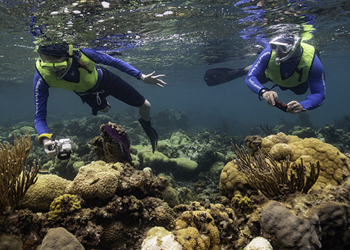 two people scuba diving