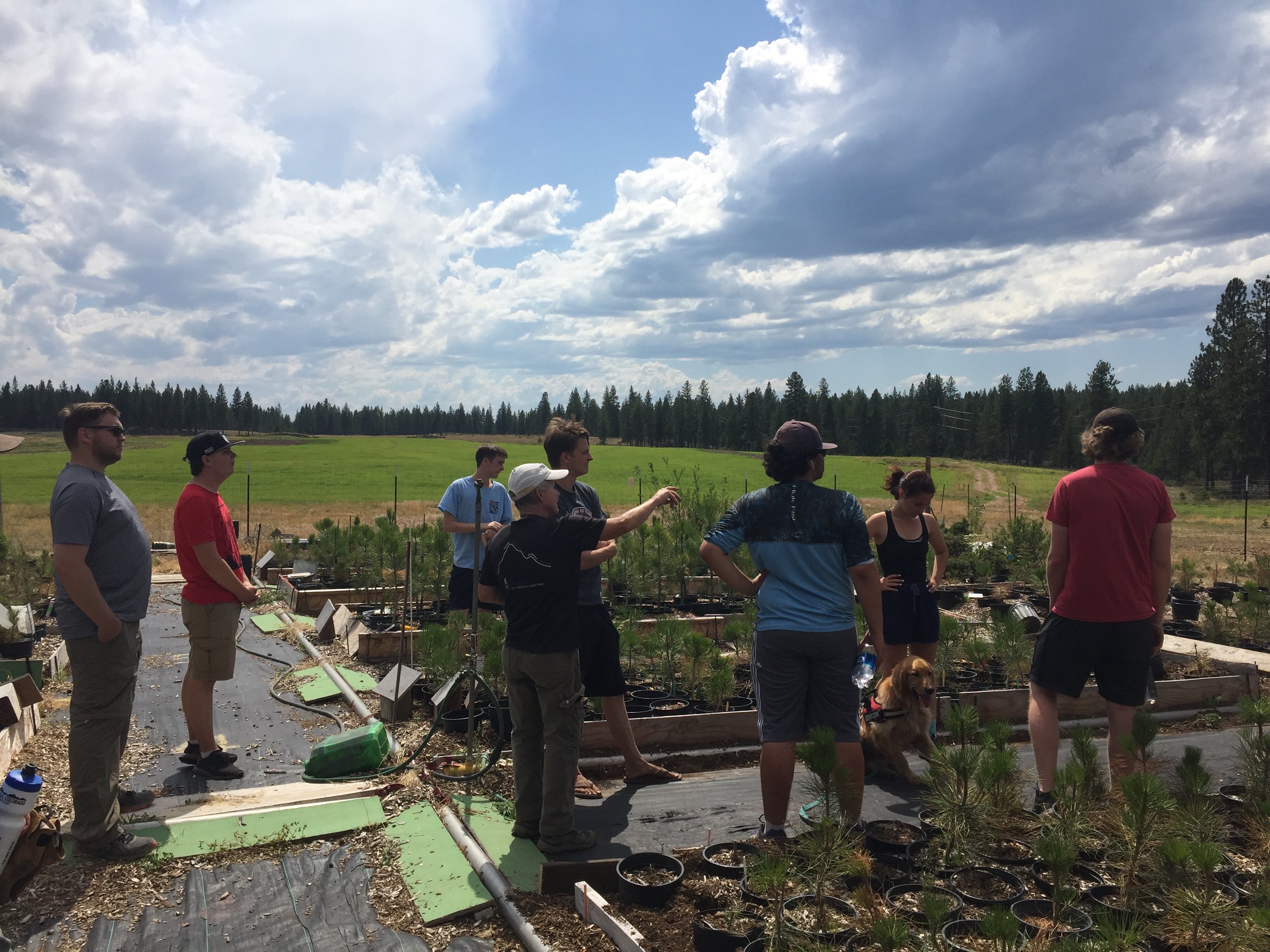 Service project being completed by students