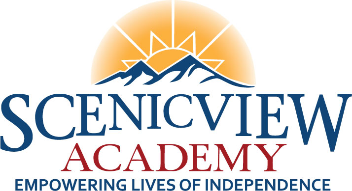 ScenicView Academy logo
