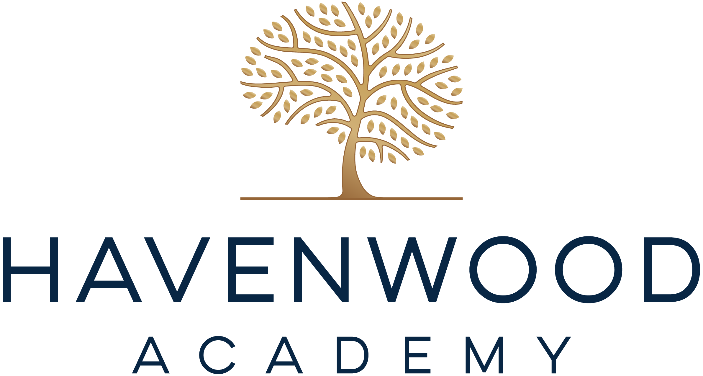 Havenwood Academy logo which is owned by the Hope Group the owner of the Eagle's Nest Ranch