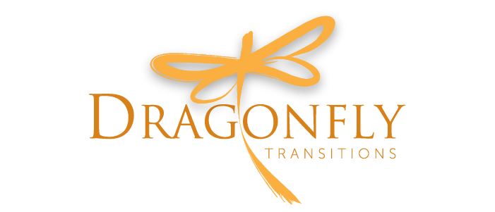 Dragonfly Transitions Logo