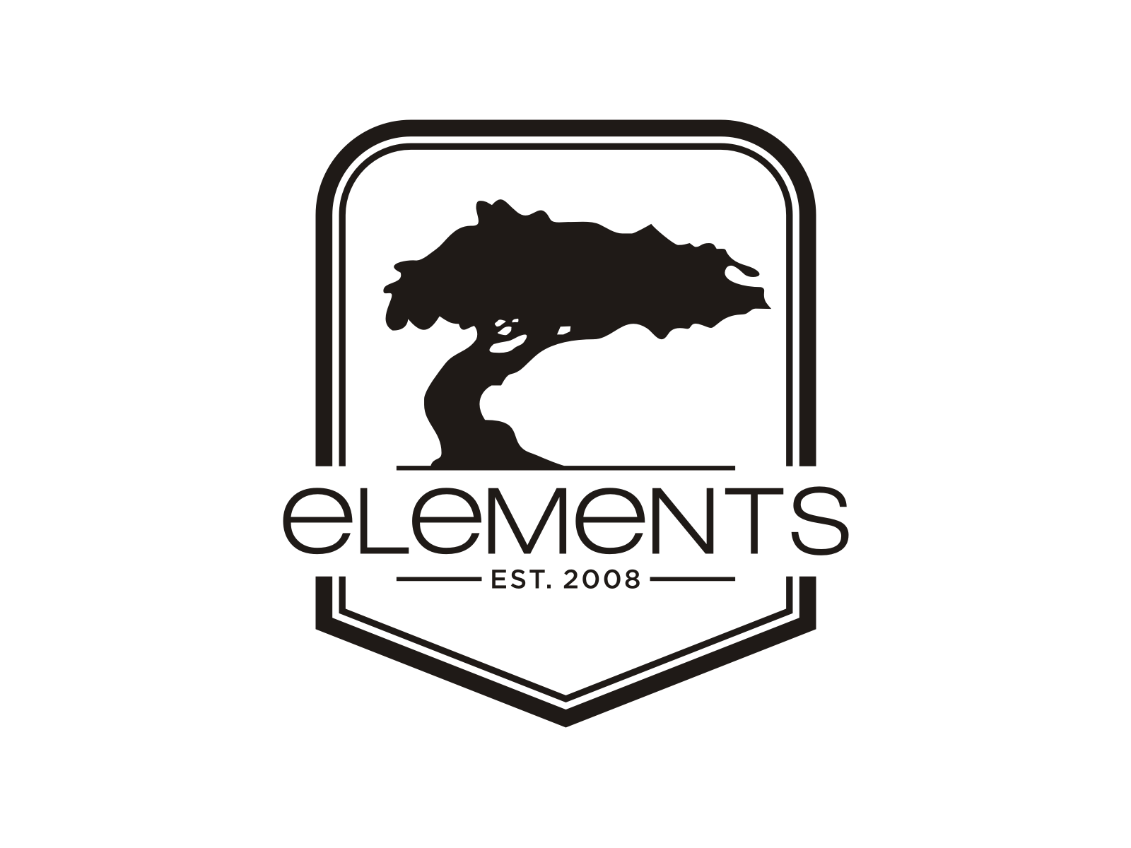 logo for Elements Wilderness Therapy with est 2008 on it.