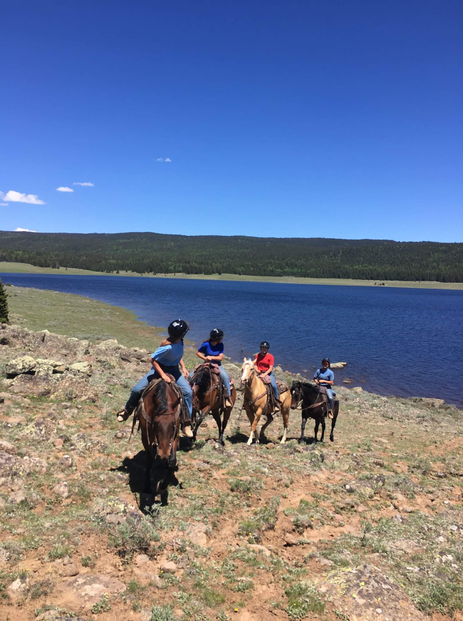 Turn-About Ranch | All Kinds of Therapy