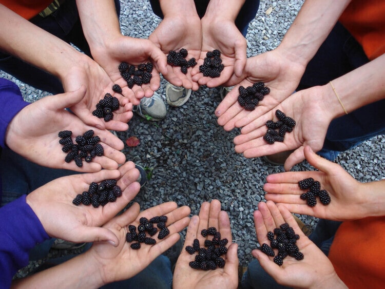 Ironwood Maine All Kinds of Therapy